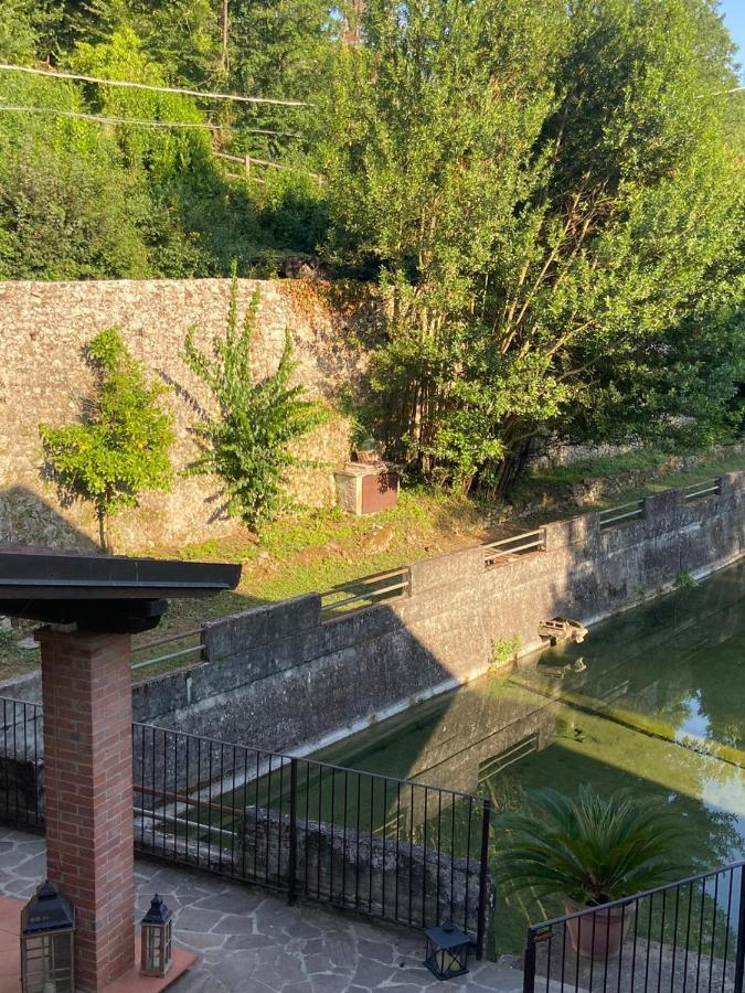 Tenerisognidori Camaiore Dış mekan fotoğraf