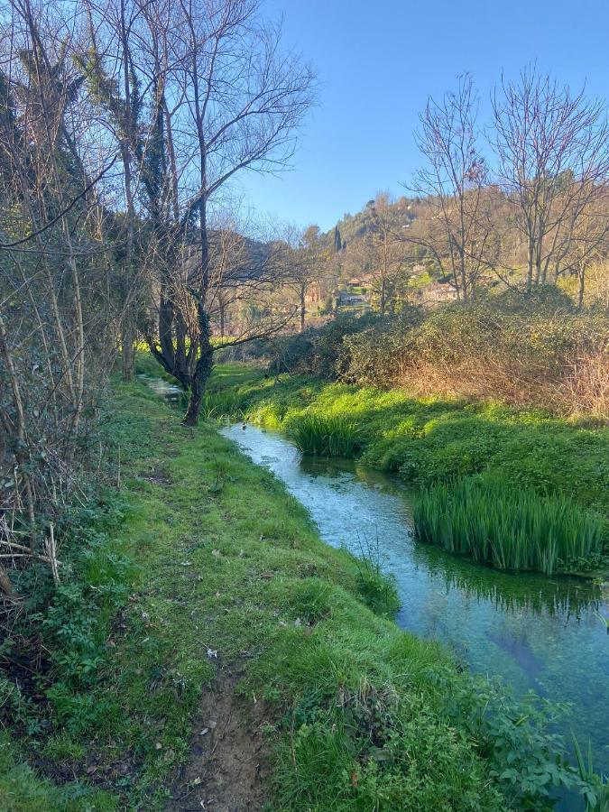 Tenerisognidori Camaiore Dış mekan fotoğraf